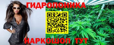 apvp Можайск